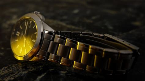 tudor watch registration